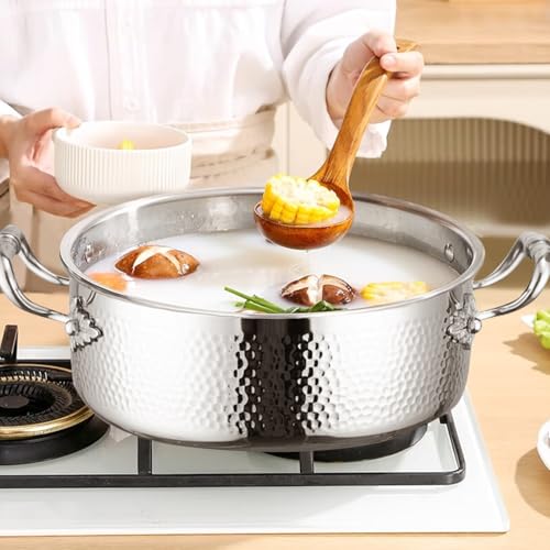 Stainless Steel Stock Pot with Visible Lid for Pasta (2.7 Quarts)
