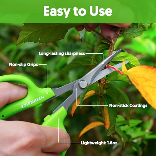 Garden Scissors (Curved Blade)