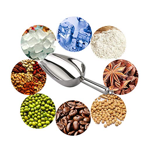 5 oz Ice Scoop (2 Count)