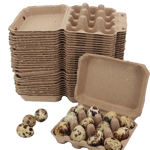 30 Pcs Quail Egg Cartons Paper Pulp Egg Basket (30 Count)