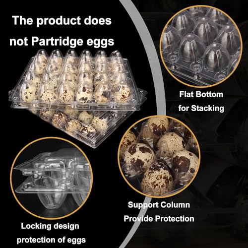 100 Pack Quail Egg Cartons (100 Pack Quail Egg Cartons 30 Grids)