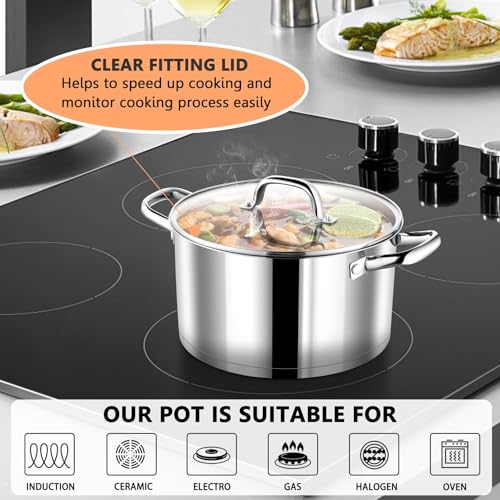 5 Quarts Stock Pot with Lid (5 Quarts)