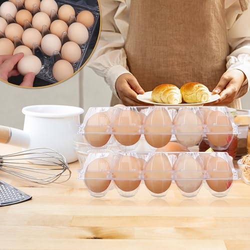 50 Pack Bulk Egg Cartons (20 Grids)