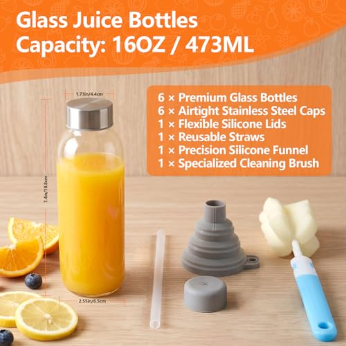 Glass Water Bottles with Lids 16 oz (Clear Glass Bottle 6 Pack / 16 Ounces)