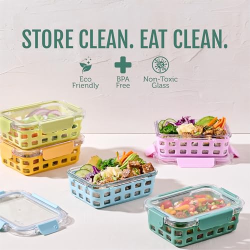 Duraglass 3.4 Cup Glass Meal Prep Containers (Meadow / 3.4 Cup)