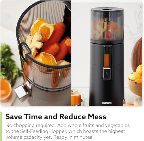 H400 Easy Clean Slow Juicer (Titanium)
