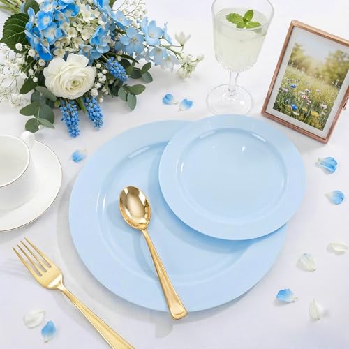 60PCS Light Blue Heavy Duty Plastic Disposable Party Plates Set (60 / Baby Blue)