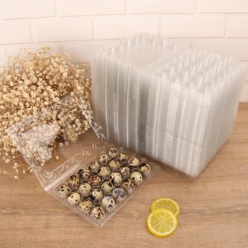 120 Pack Quail Egg Cartons (120 Pack Quail Egg Cartons 24 Grids)