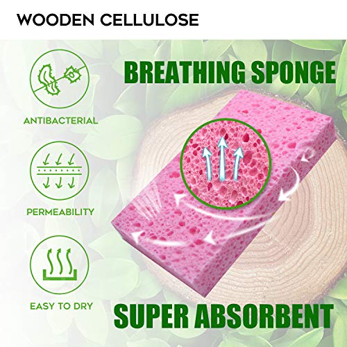 Compressed Cellulose Kitchen Sponges 12Pack (12 Count)