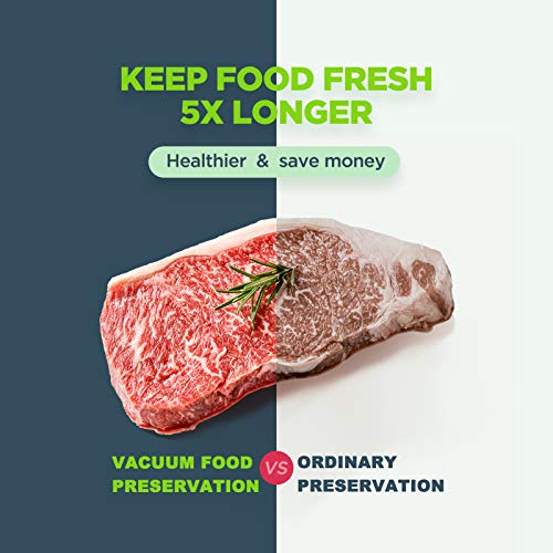 Precision Vacuum Sealer Machine (Silver)