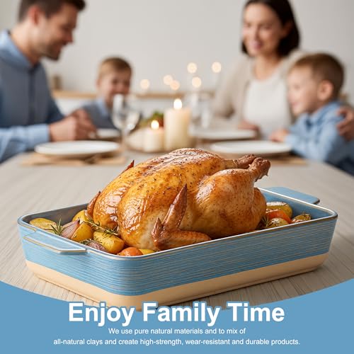 Casserole Dishes for Oven (Blue Yellow)