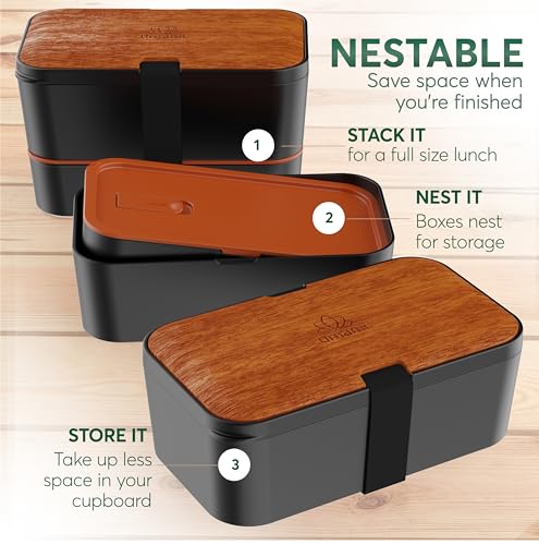 Bento Box Adult (L - 50 oz / Sapele Black)
