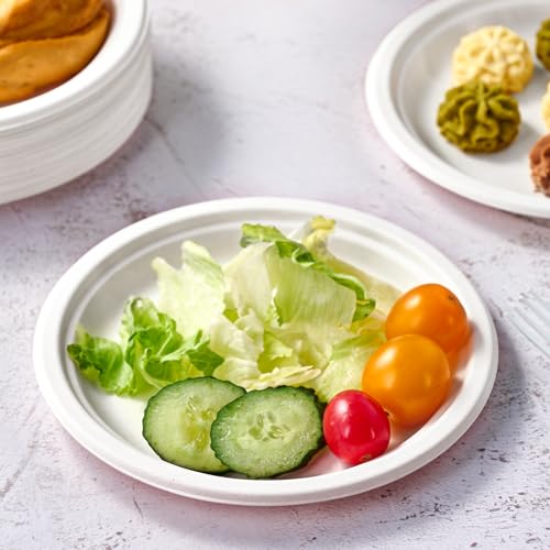 350 Pack Compostable Bagasse Paper Plates 6.9 inch (White / 7 IN Round Plates)