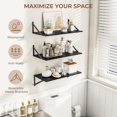 24W x 12D Deep Floating Shelves Set of 3 Black (Black With Black Metal Bracket / 24wx12dx5.8h)