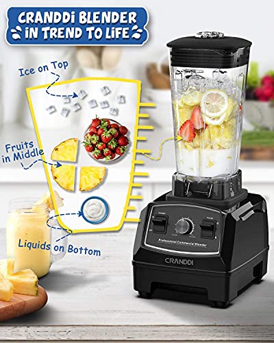 Professional Blender (Black Pearl)