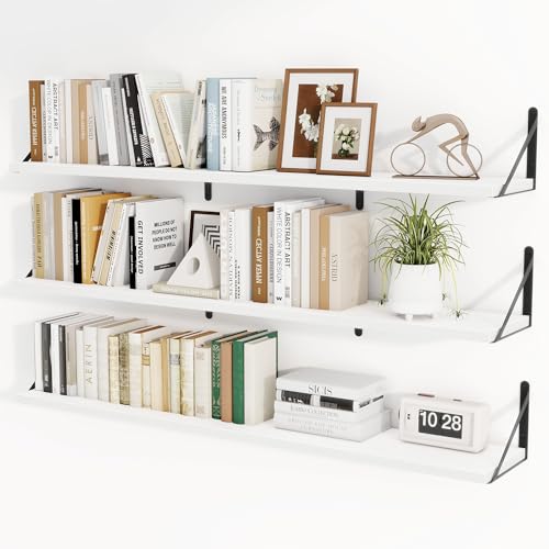 Floating Book Shelves for Wall