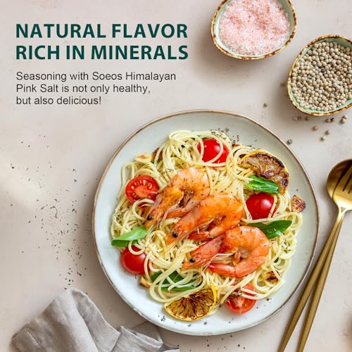 Himalayan Pink Salt (16 Ounce (Pack of 1))