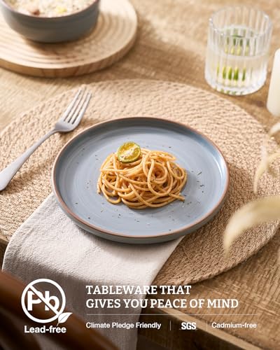 Meteor 16 Piece Dinnerware Set with Pasta Bowls (Blue Gray / Service for 4 (Include Pasta Bowls))