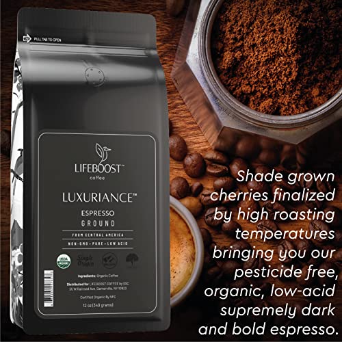 Espresso Ground Coffee (12 Ounce (Pack of 1))