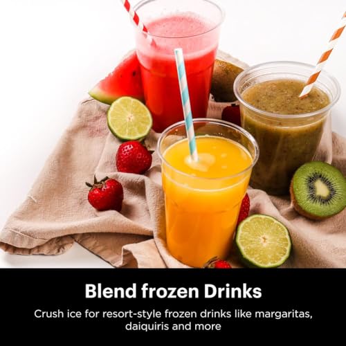 Blender for Smoothies & Shakes (Silver/Black)