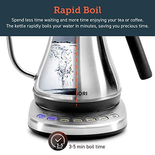 Gooseneck Electric Kettle with Temperature Control (Silver / 0.8 Quarts)