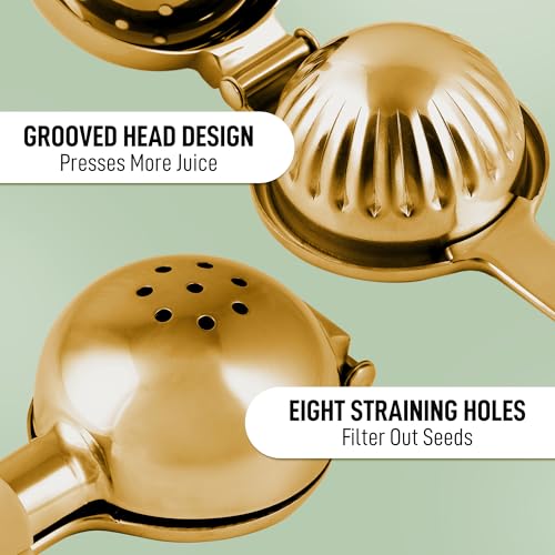 Extra Large Lemon Squeezer Stainless Steel