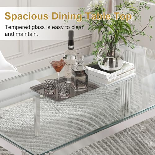 51'' Modern Glass Dining Table for 4 People (Silver-clear / Rectangle-51.18" L x 31.50" W x 29.53" H)