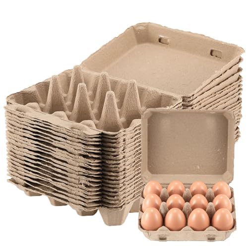 Egg Cartons 20 Pack
