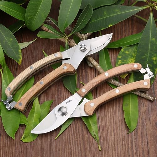 Wood Handle Pruning Shears (8"WoodHandleShears(E012))