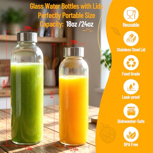 Clear Glass Bottles with Lids (Clear Glass Bottle 6Pack / 24 Ounces)