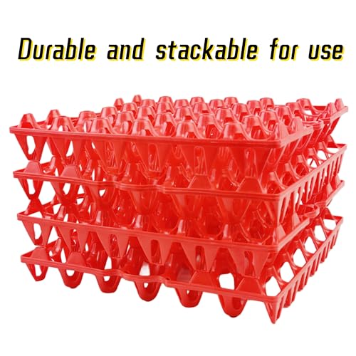 4 Pack Plastic Egg Tray Egg Crates 30 (4 Count)