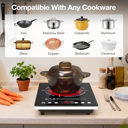 Electric Cooktop 110v