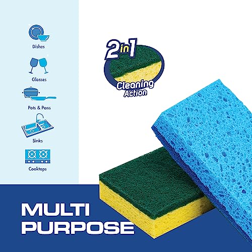 48 Pack Kitchen Sponges Dish Sponge for Washing Dishes (48 Count)