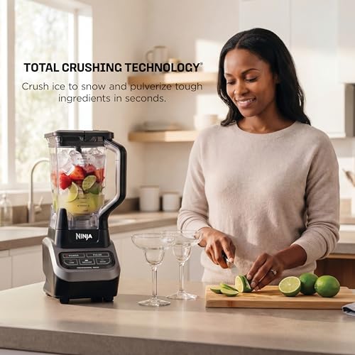 Professional Blender (Black/Gray)
