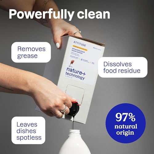 Dish Soap Refill (67.6 Fl Oz)