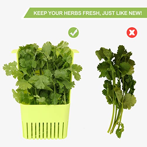 Herb Keeper BPA (Herb Keeper - Green)
