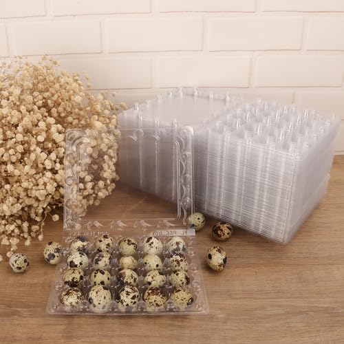 150 Pack Quail Egg Cartons (150 Pack Quail Egg Cartons 20 Grids)