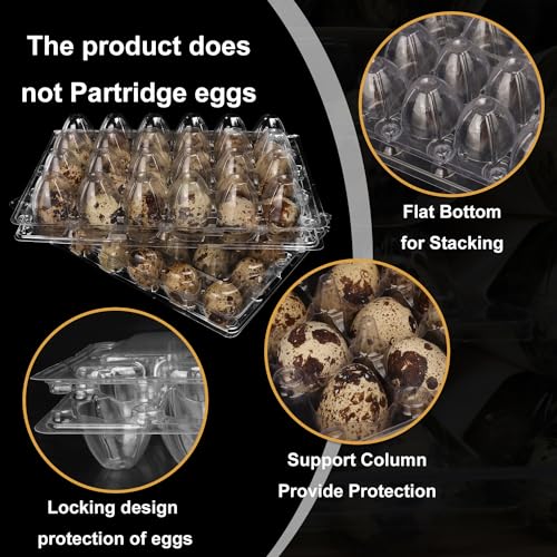 120 Pack Quail Egg Cartons (120 Pack Quail Egg Cartons 24 Grids)