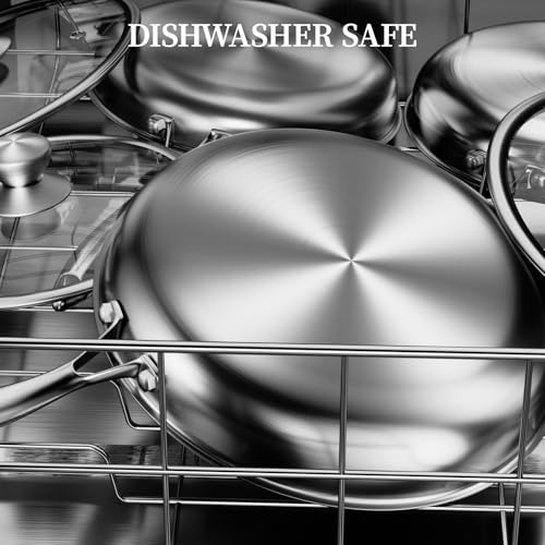 Stainless Steel Frying Pan with Lid (9.5 Inch)