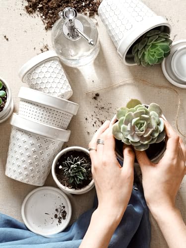 Ceramic Succulent Pots (4 inch)