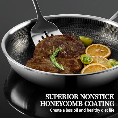 Stainless Steel Frying Pan with Lid (9.5 Inch)