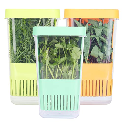 3 Pack Herb Keeper (Herb Keeper - Green & Orange & Blue)