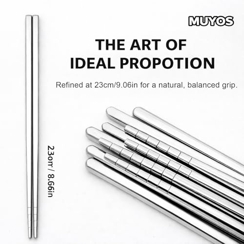 Stainless Steel Chopsticks (Silver)