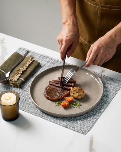 Mars Stoneware Dinnerware Set for 4 (Cinnamon Brown / Set(12pcs))