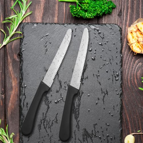 36 PCS Steak Knife Set (36PCS Steak Knife)