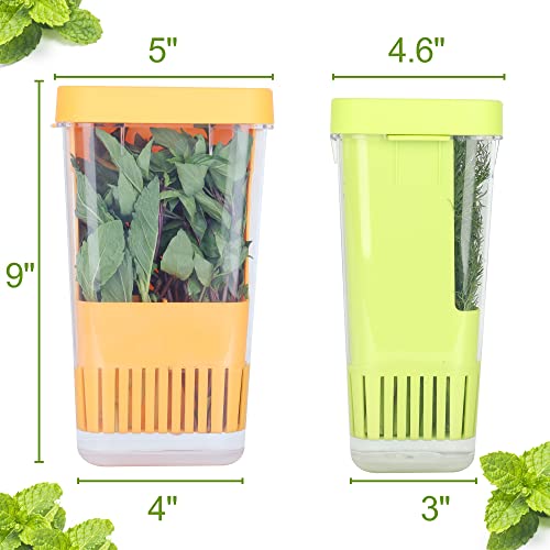 3 Pack Fresh Herb Keeper for Refrigerator (3 Pack)