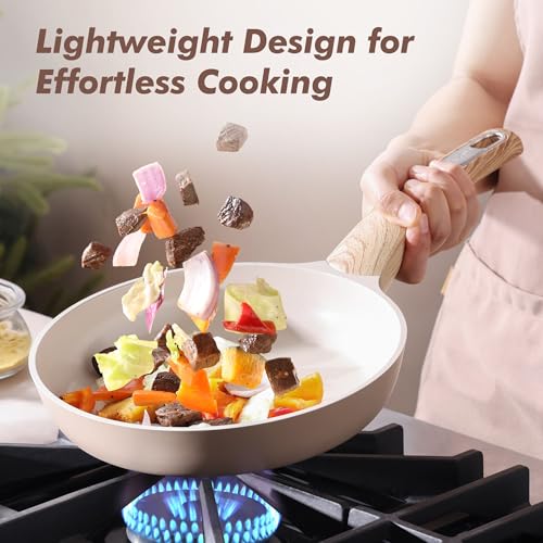8inch Ceramic Nonstick Frying Pan Paella Pan with Lid (8 Inch / TAFFEE Taupe)