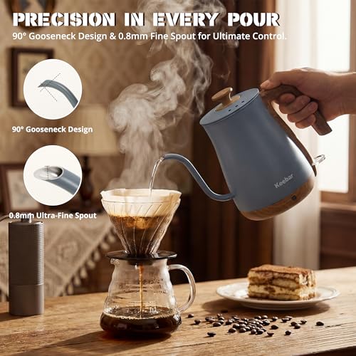 Gooseneck Electric Kettle (Blue Gray / 0.8 Quarts)