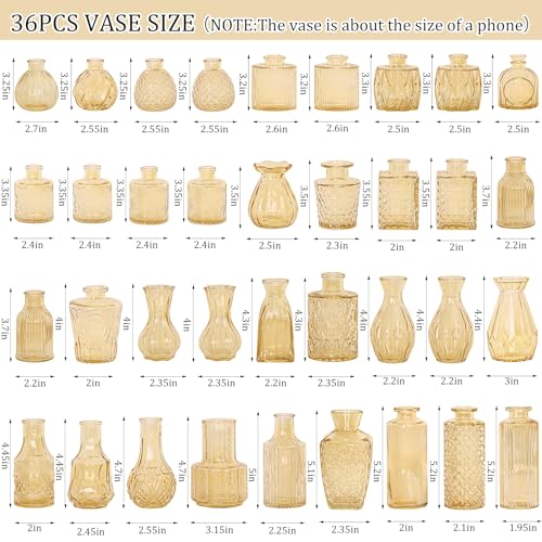 Set of 36 Glass Bud Vases Small Flower Vases for Centerpieces (Champagne)