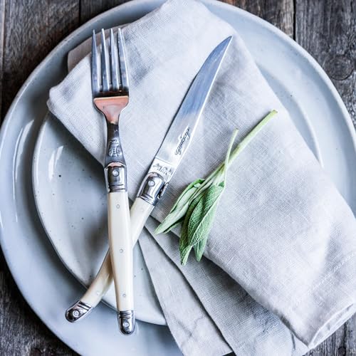 JD97 13693.TQ 12 Piece Cutlery Set With Handles (Turquoise)